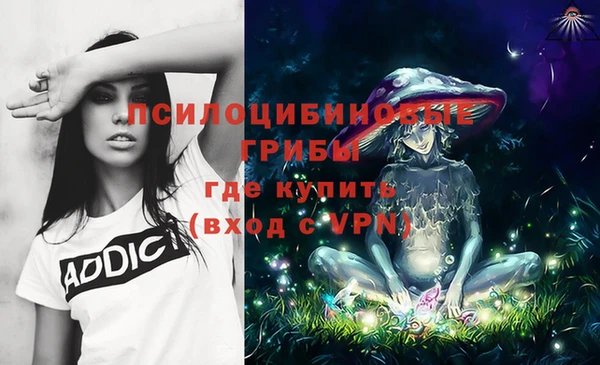 стаф Балабаново