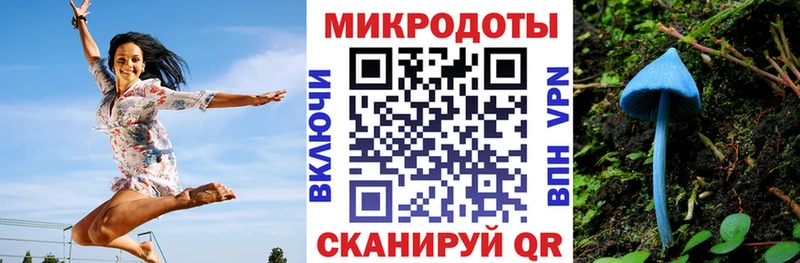 Галлюциногенные грибы Magic Shrooms  Торопец 